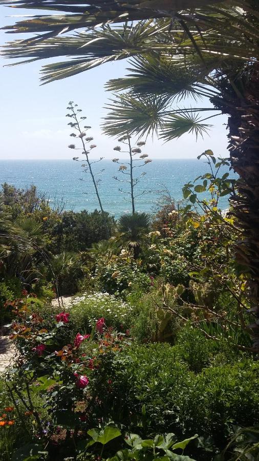 Hotel Punta Rossa Сан-Феличе-Чирчео Экстерьер фото